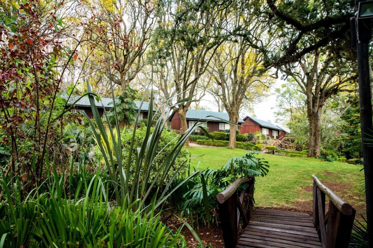 Naro Moru River Lodge 외부 사진