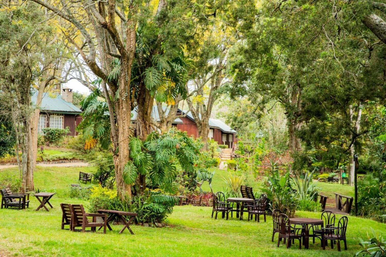 Naro Moru River Lodge 외부 사진