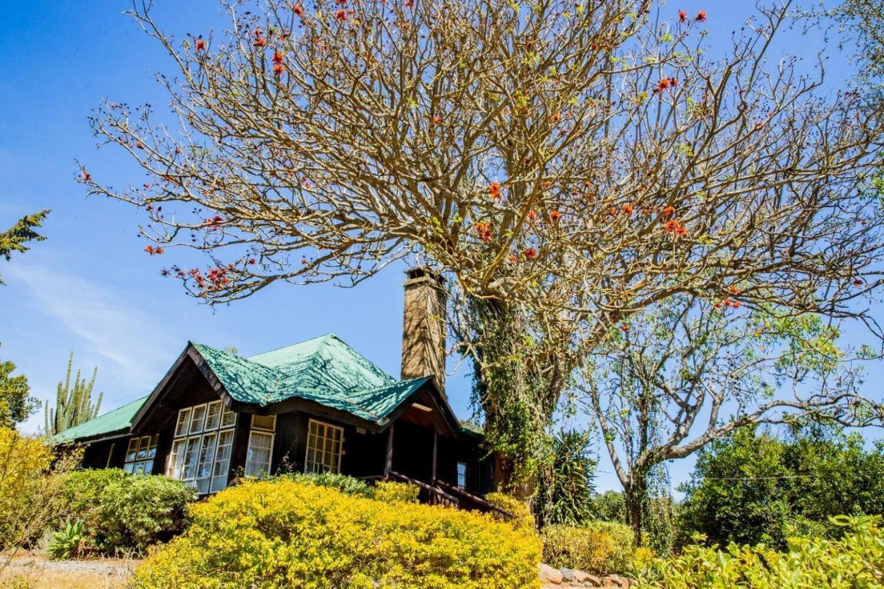 Naro Moru River Lodge 외부 사진