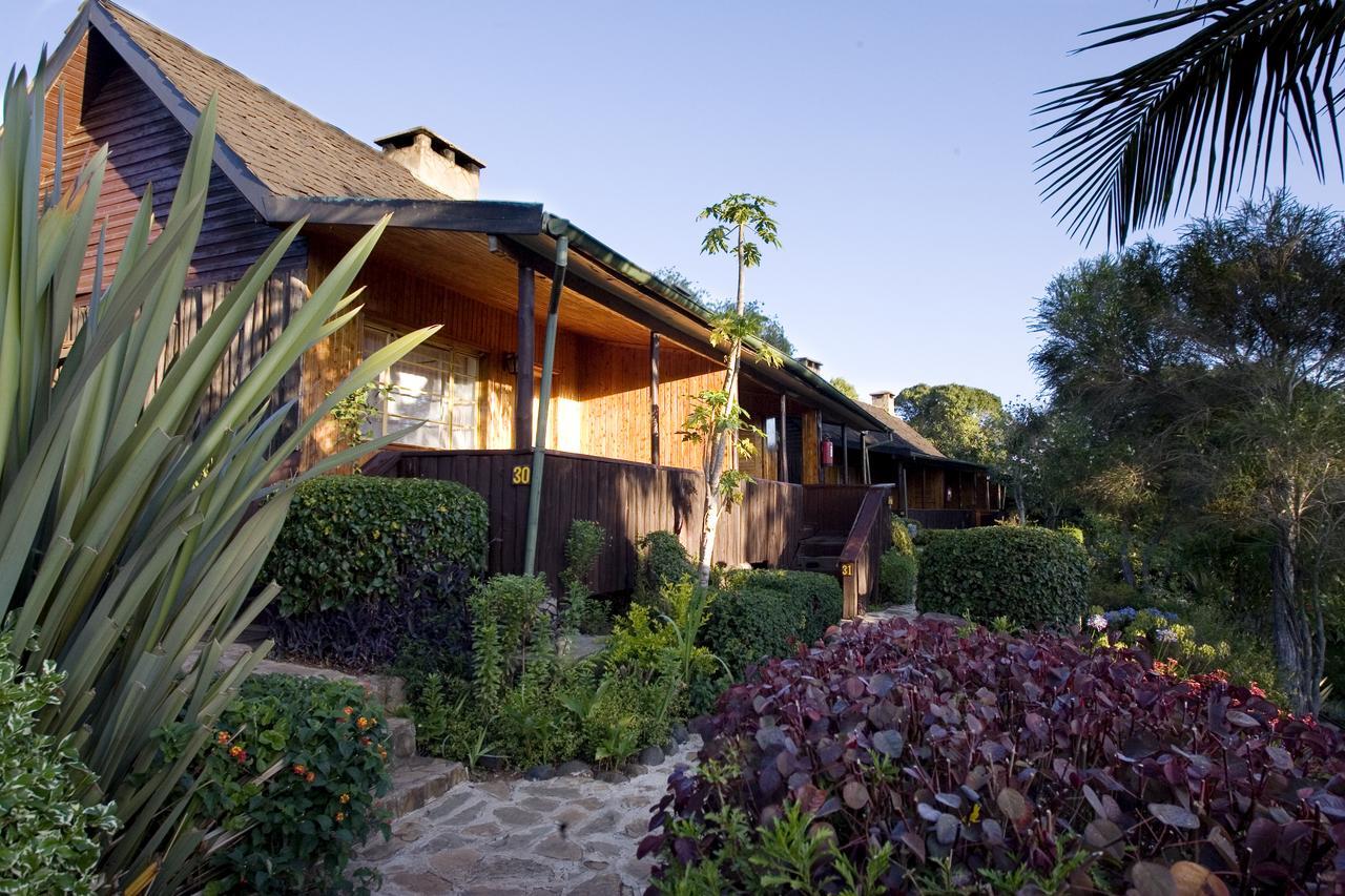 Naro Moru River Lodge 객실 사진